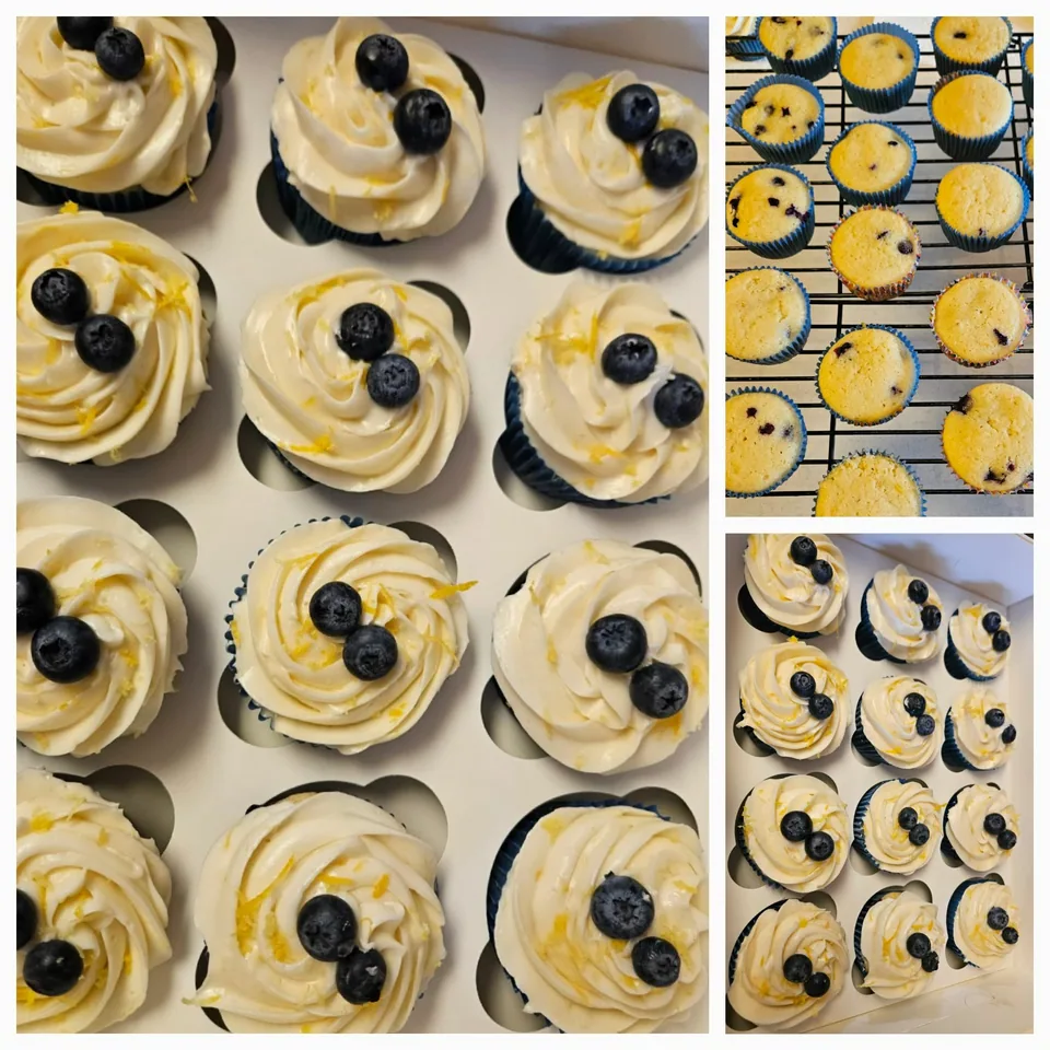 Blueberry lemon cupcakes with pale frosting and fresh blueberries