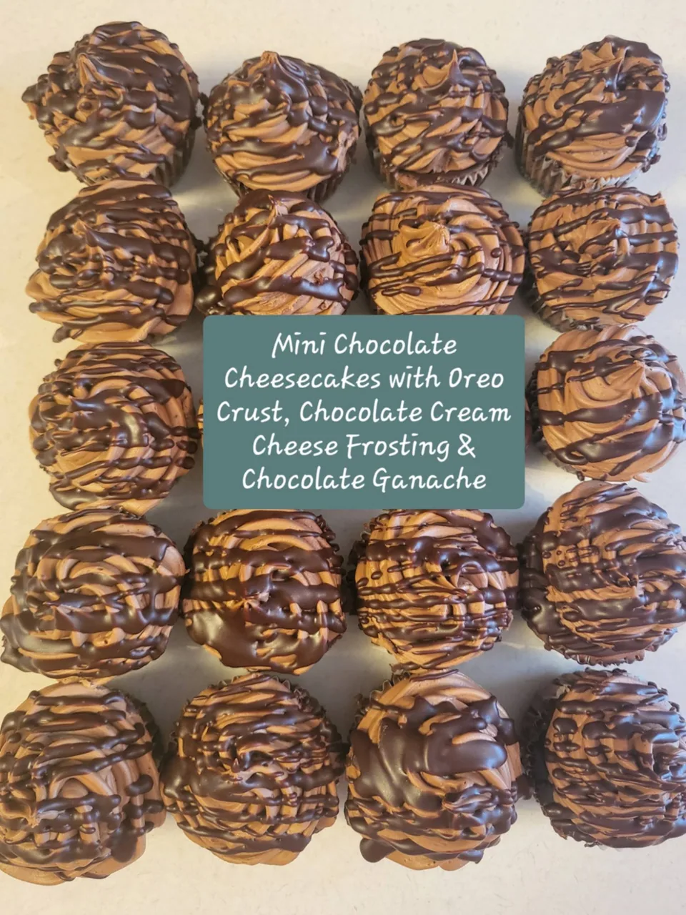 Rows of mini chocolate cupcakes with caramel-colored frosting and dark drizzle