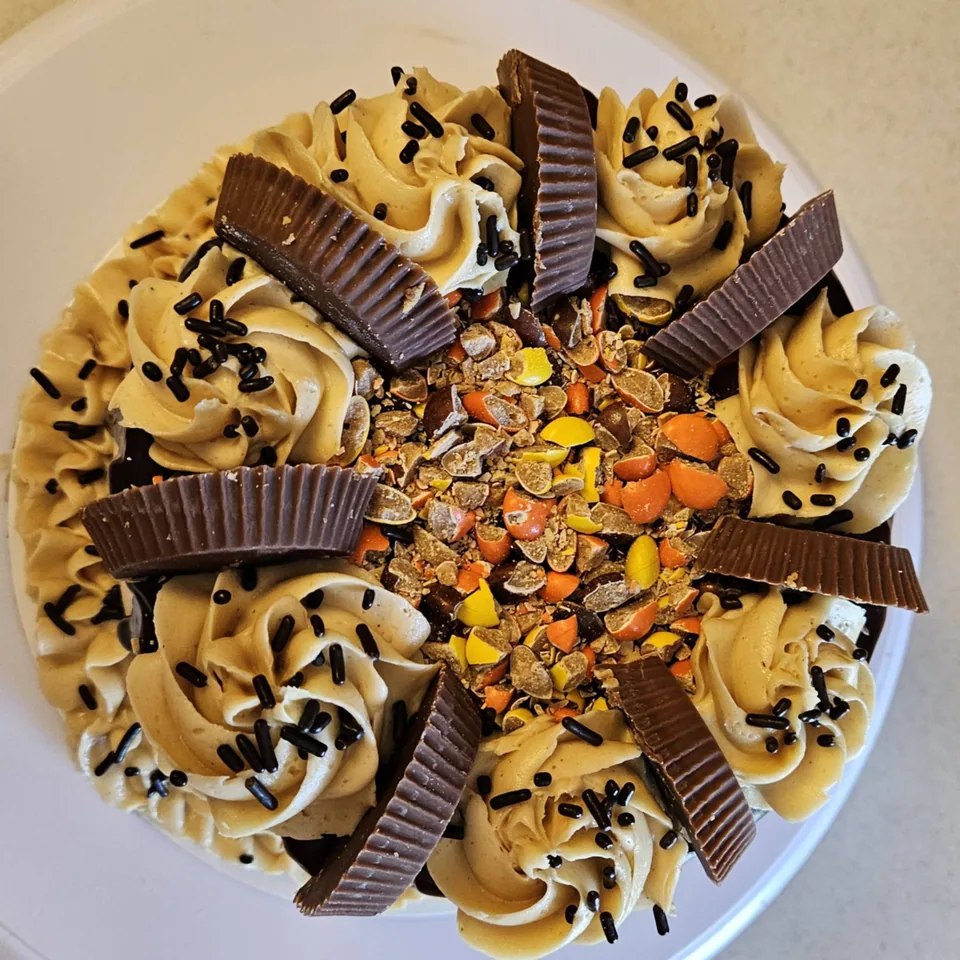 Chocolate peanut butter cake topped with peanut butter cups and colorful candy pieces