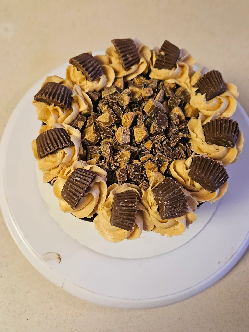 Chocolate peanut butter cake ringed with peanut butter cups and piped frosting