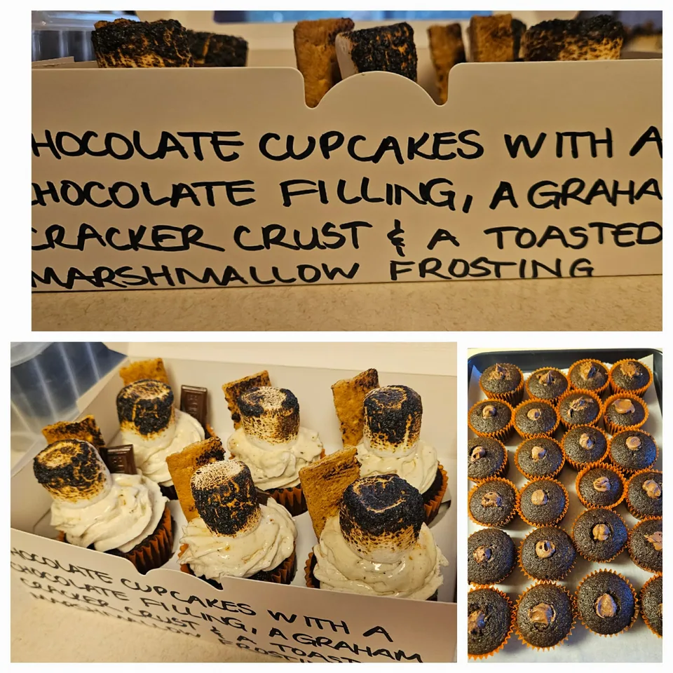 Mini chocolate s'mores cupcakes topped with toasted marshmallow pieces